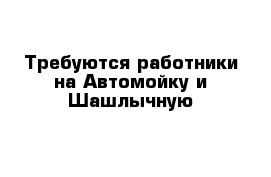 Требуются работники на Автомойку и Шашлычную